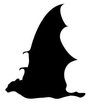 Bat silhouette isolated. Pteropus. flying fox.