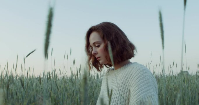 Romantic video shooting in a wheat field in the evening. A young Caucasian woman with a short haircut walks through the field among high ears. 4k video, red komodo