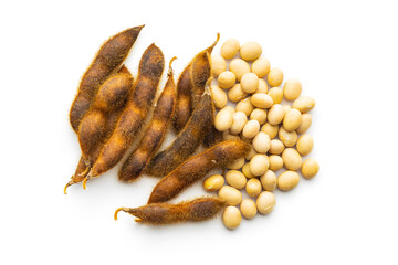 Soy beans. Dried soybean pod isolated on white background.