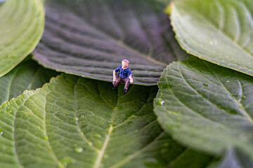 Closeup of small figurine man sitting on the edge of a leaf