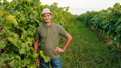 looking at the camera an elderly male farmer worker winemaker stands in a vineyard and smiling happily. Around a lot of greenery, carved grape leaves. Copy space.