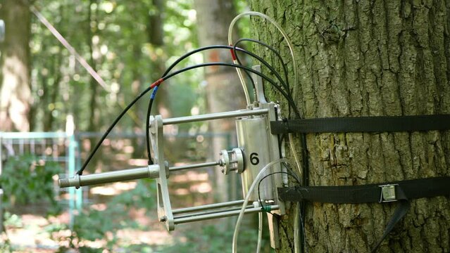 Scientific measurement respiration tree science station technology trunk on display technological monitoring carbon dioxide, co2 global change, sensor data machine instrument, climate change