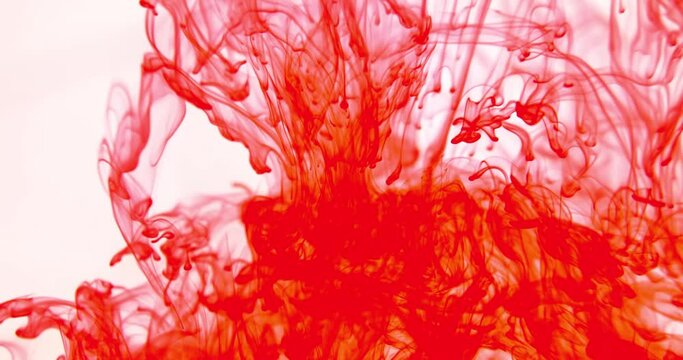 Bloody red colour, blood in water. Colored abstract explosion effect. Paint color swirls in water. Color liquid in water movement. Red blood in water. Overlay effect, Colour design element.