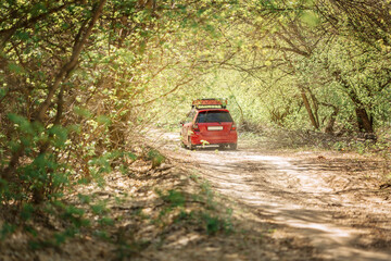 Obraz na płótnie Canvas Red car drives along forest road on sunny spring day. View of countryside road with auto going into distance. . High quality photo