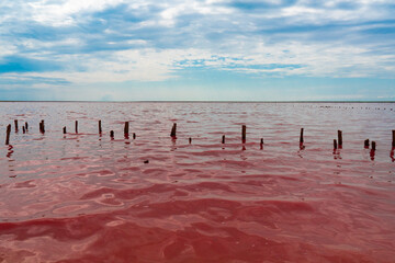 Fototapeta na wymiar Ukraine. Salty pink lake. Incredible color of water. Abandoned salt production.