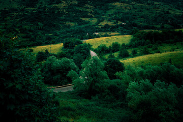 immerse yourself in the nature and listen your beat