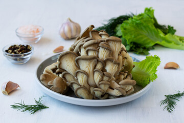 oyster mushrooms with herbs. Fresh organic healthy oyster mushrooms with green parsley, garlic, black pepper and pink salt on the white table. Delicious oyster mushrooms. copy space.