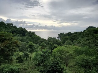 Obraz premium Cloud Sky Water Tree Natural landscape Plant