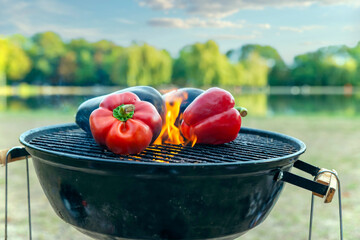 Red pepper paprika is fried on a grill in a picturesque place in nature