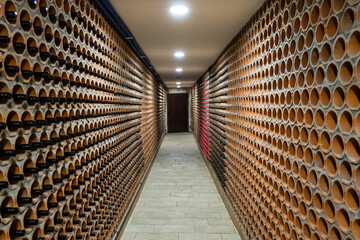 Straight lines of wine racks made of brickstone for bottles archive with wooden door at the end. Bela Krajina, Slovenija - obrazy, fototapety, plakaty