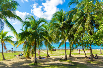 Fototapeta na wymiar Paradise beach with coconut palms. Resort landscape, beach, sea, sky. Blurred figures of people resting and sunbathing.