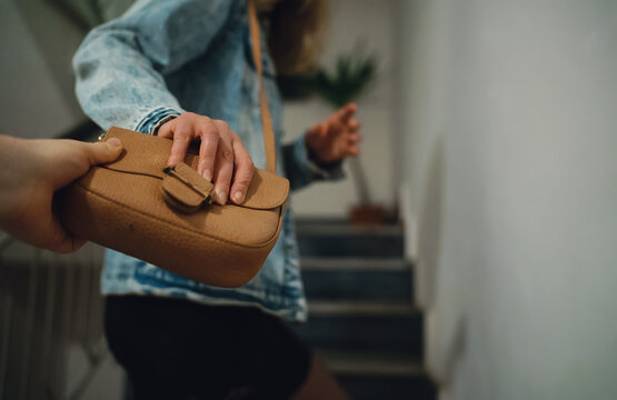 Thief snatches a bag from a woman near her apartment.