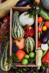 Delicious autumn vegetables in and around a wooden box. Full frame ripe vegetables.