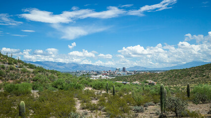 Obraz premium Landscape Tucson Arizona Mountain Background