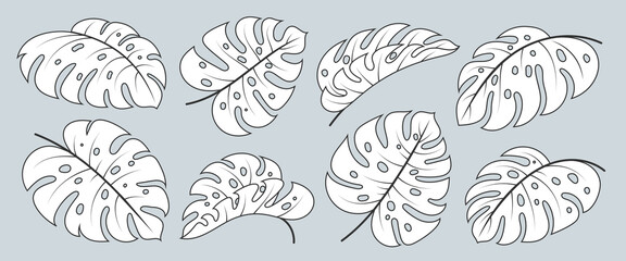 Monstera Deliciosa leaf outline icon set. Tropical exotic plant branch. Black line white fill hawaiian philodendron foliage. Single leaves floral scrapbooking doodle hand drawn textile design element