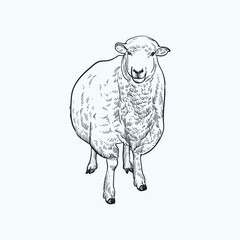 Vintage hand drawn sketch smile lamb