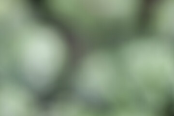 abstract green background