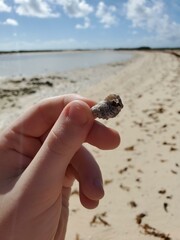 Cloud Water Hand Sky Wood Gesture