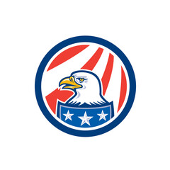 American Bald Eagle Head Flag Circle Retro