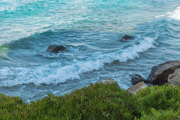 Waves on the sea with green shore. Fresh breeze in a south location. Space for text.