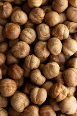 Background from hazelnuts. Nuts close-up.