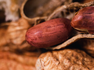 Close up of a peanut