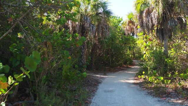 Pov point of view walking handheld shot on Saylor hiking nature trail at Barefoot Beach, Southwest Florida at Bonita Springs of Gulf of Mexico