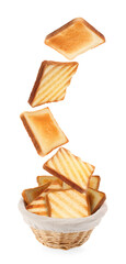 Delicious toasted bread falling into basket on white background