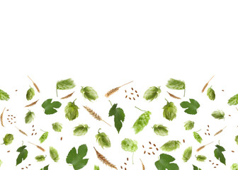 Hops, green leaves and ears of wheat on white background