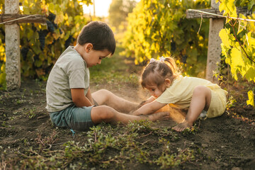 Brother with sister playing in vineyard digging a hole in the ground and getting dirty. Happy...