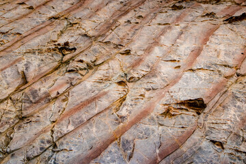 Pink and red waves in the rocks