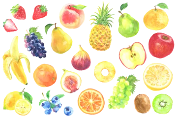 Fotobehang 水彩で描いた色々なフルーツのイラスト © yokoobata