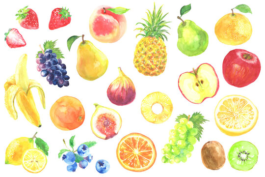 水彩で描いた色々なフルーツのイラスト