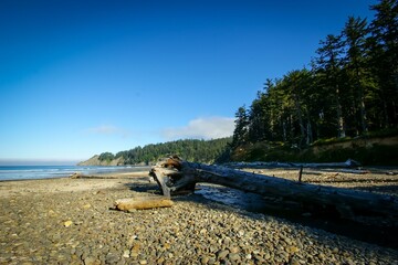 Sky Water Cloud Natural landscape Plant Wood
