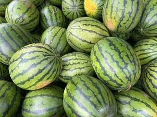 Watermelons (a tasty, thirst-quenching fruit that many people enjoy in the heat of summer)