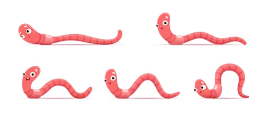 Fotobehang Cartoon funny worm. Animation of crawl earthworm. Vector sequence frame of soil compost insect movement. Pink wildlife creature crawling sprite sheet, garden invertebrate isolated worms © Vector Tradition