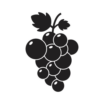Grapes icon design. Grapevine with leaf. grapes fruit. Wine logo. Vector illustration 