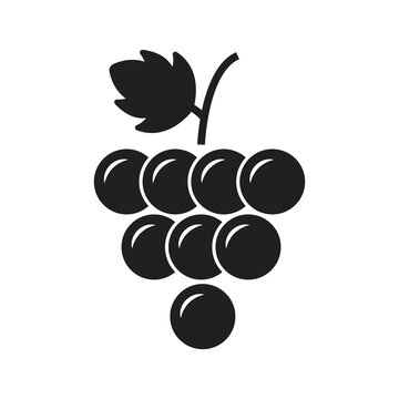 Grapes icon design. Grapevine with leaf. grapes fruit. Wine logo. Vector illustration 