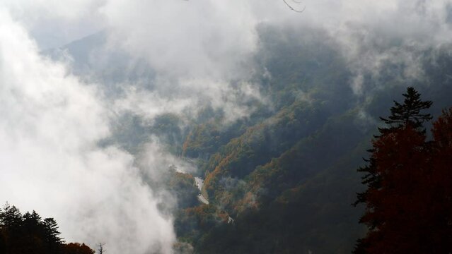 Cars drive down a windy foggy forest rad in this arial view of the Great Smoky Mountains  of Tennessee 