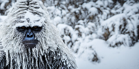 Yeti, hairy Bigfoot in snowy landscape, 3d illustration - obrazy, fototapety, plakaty