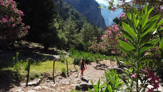 Young girl hiking in Samaria Gorge between flowers on a sunny day