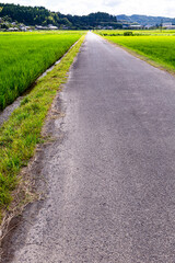 姶良市永瀬の田園地帯	