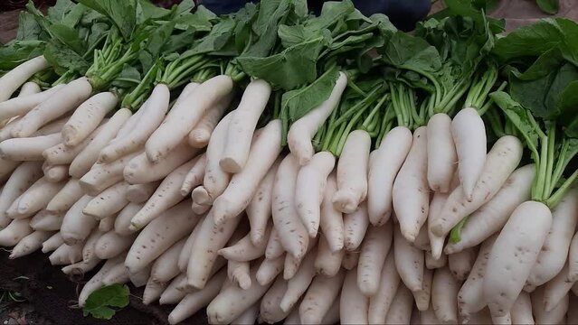 Freshly harvest white radish or mooli on a market stall.