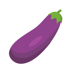 eggplant on white background vector