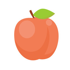 peach apricot on white background vector