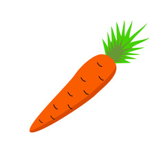 orange hand drawn carrot isolated on white background