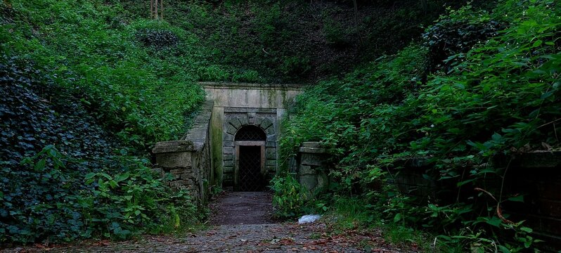 Old Abandoned Tunnel in the Woods, Prague