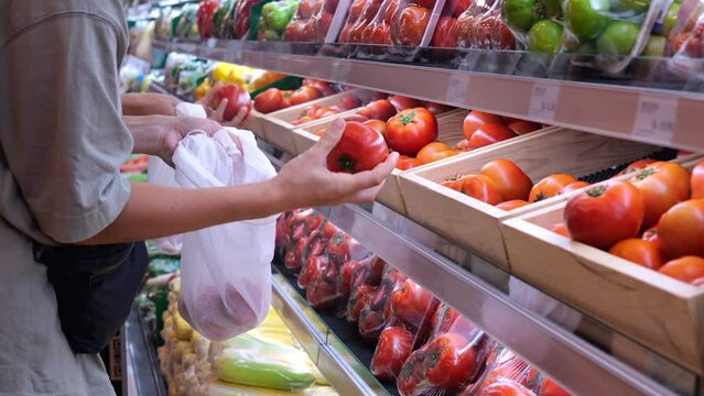 A woman takes red tomatoes from a shelf and puts the ripe ones in a bag. Buying vegetables at a local store. Consumption of vegetables is good for health food. Eco shop with organic vegetables.
