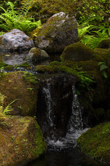 Fototapeta na wymiar Little waterfall in the forest
