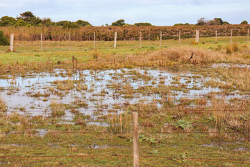 water in field after rainfall